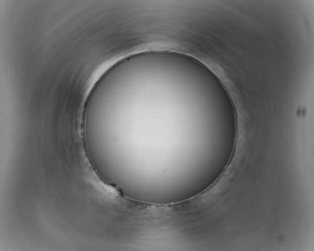 X0000113950912200909251000