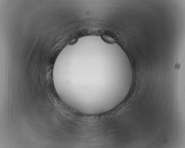 X0000113950914200909250959
