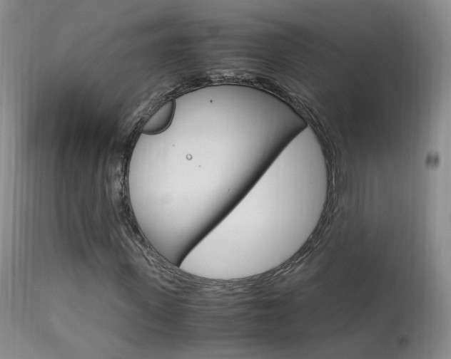 X0000113950915200909250959