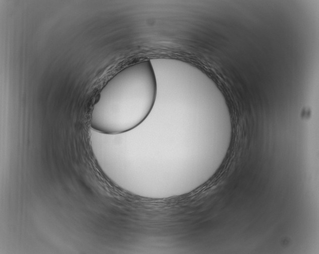 X0000113950916200909250959
