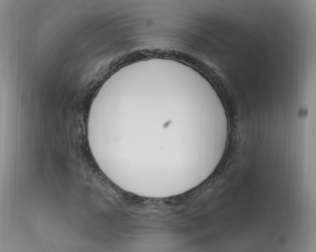 X0000113950918200909250959