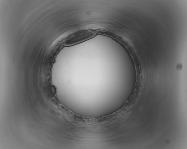 X0000113950920200909250959