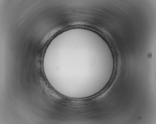 X0000113950921200909250959