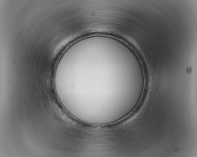 X0000113950922200909250959