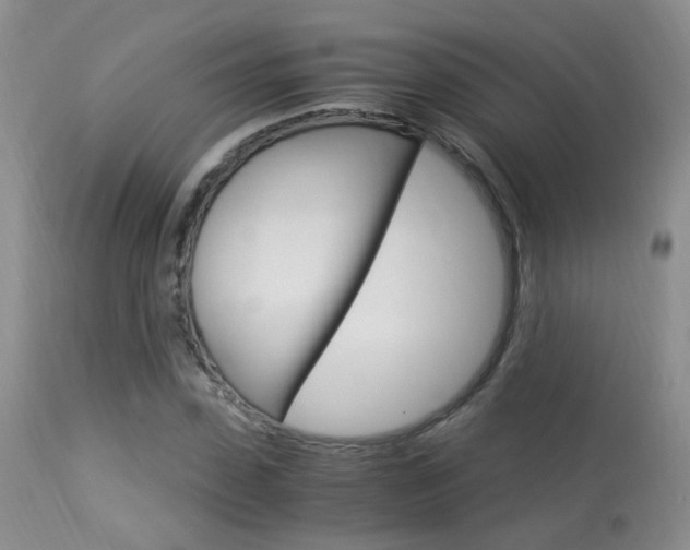 X0000113950923200909250959