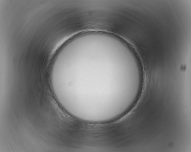 X0000113950925200909250959