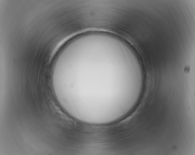 X0000113950926200909250959