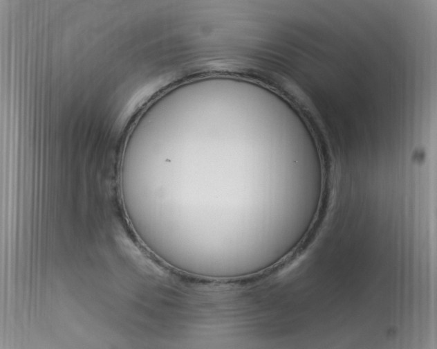 X0000113950930200909250959