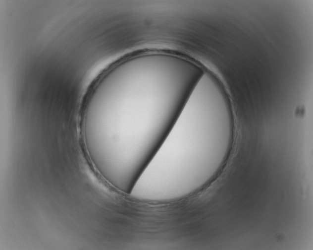 X0000113950935200909250959