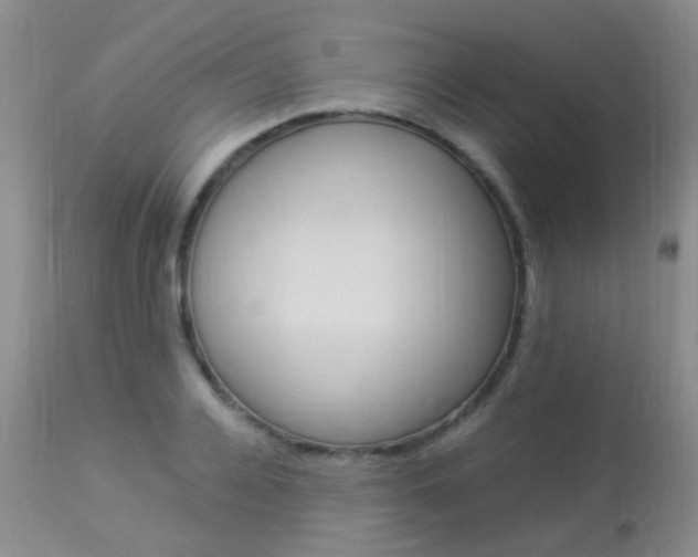 X0000113950936200909251000