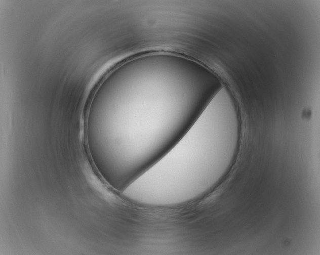 X0000113950940200909251000
