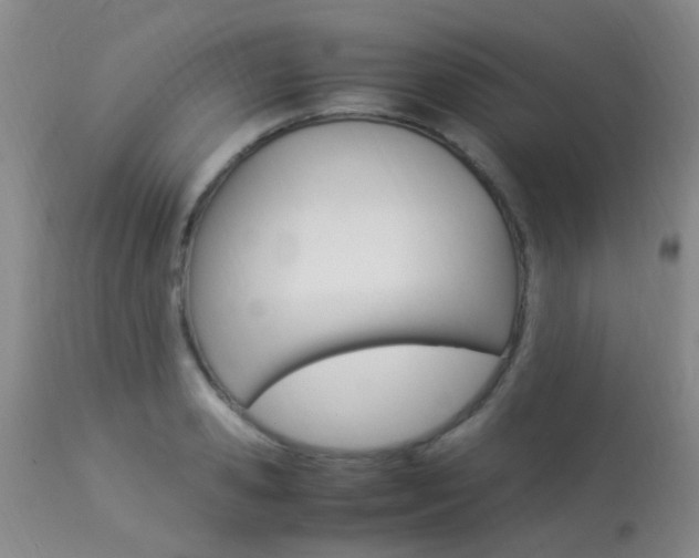 X0000113950941200909251000