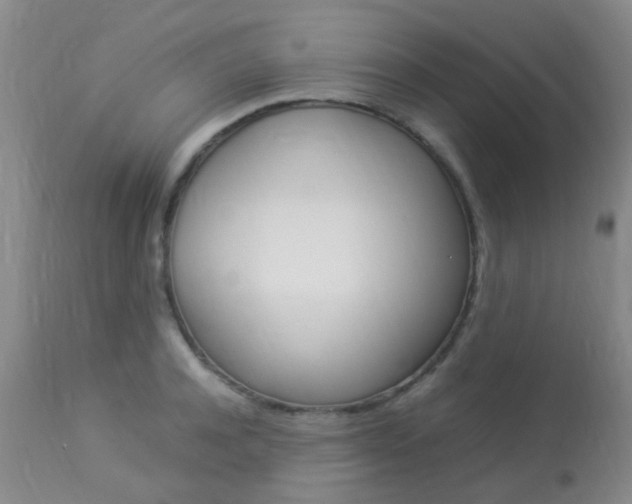 X0000113950944200909251000