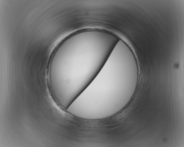 X0000113950951200909251000
