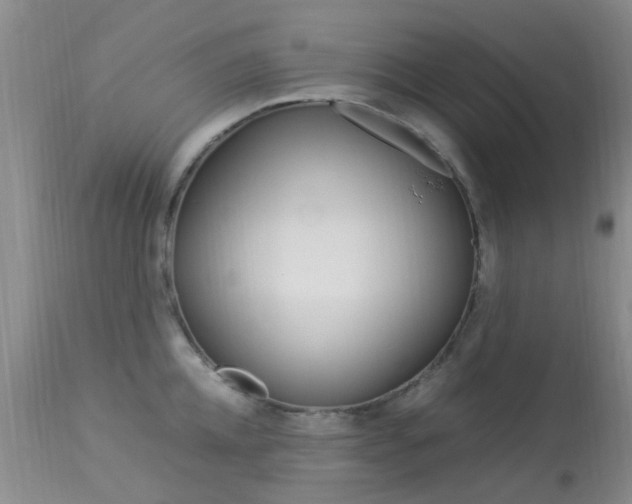X0000113950952200909251000