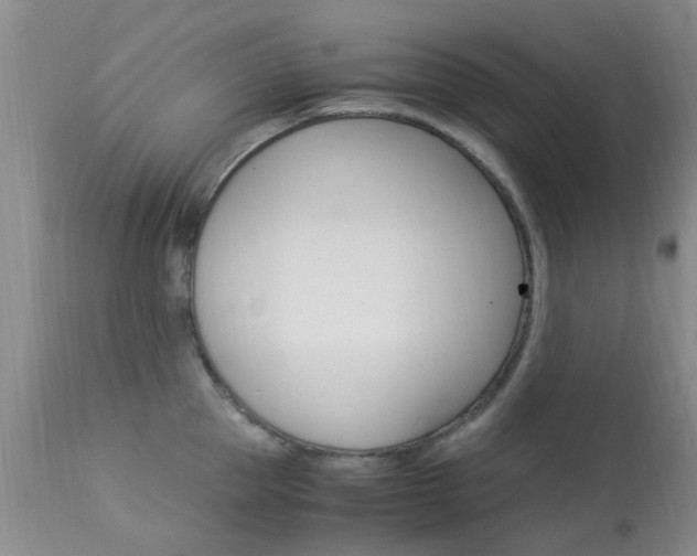 X0000113950953200909251000