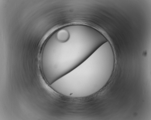 X0000113950955200909251000