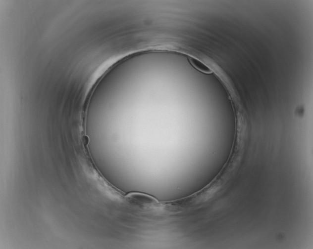 X0000113950956200909251000