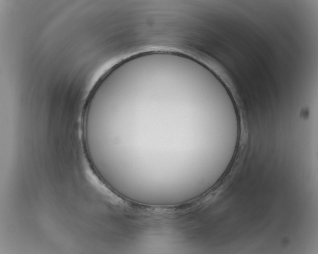 X0000113950958200909251000