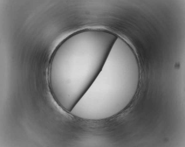 X0000113950959200909251000