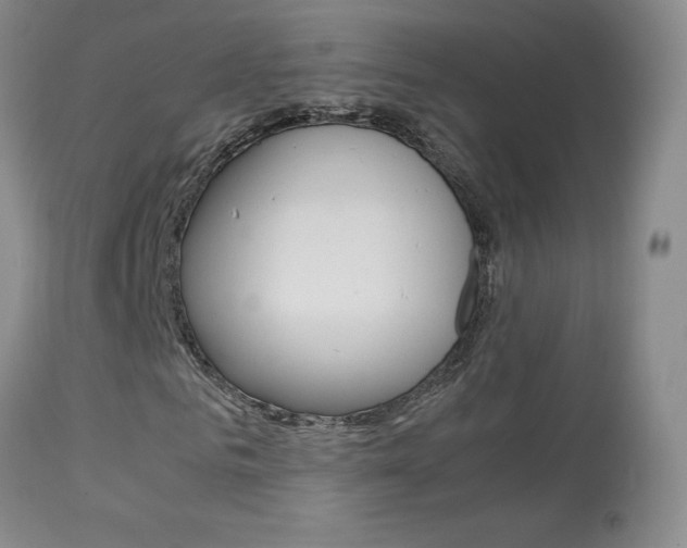 X0000113950961200909250959