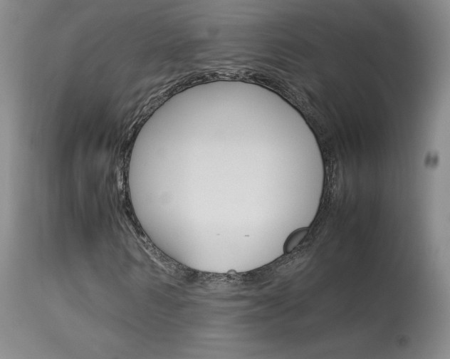 X0000113950962200909250959