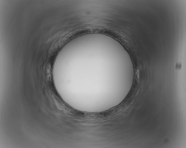 X0000113950963200909250959
