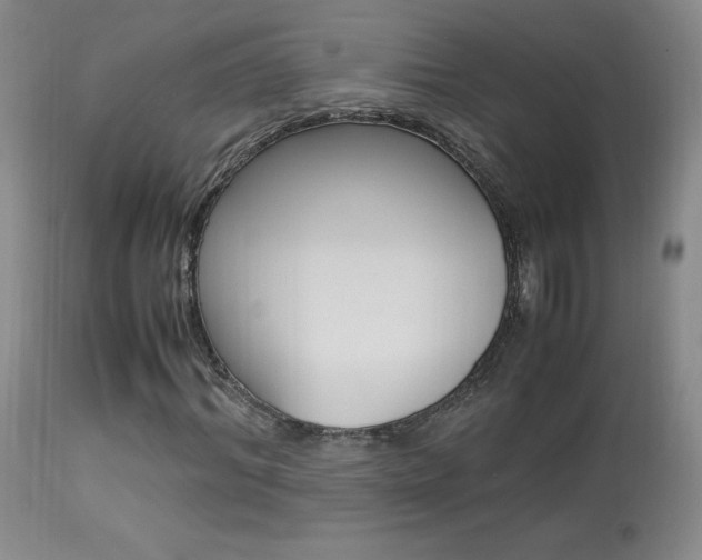 X0000113950964200909250959