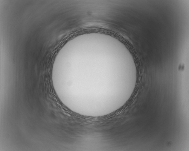 X0000113950965200909250959
