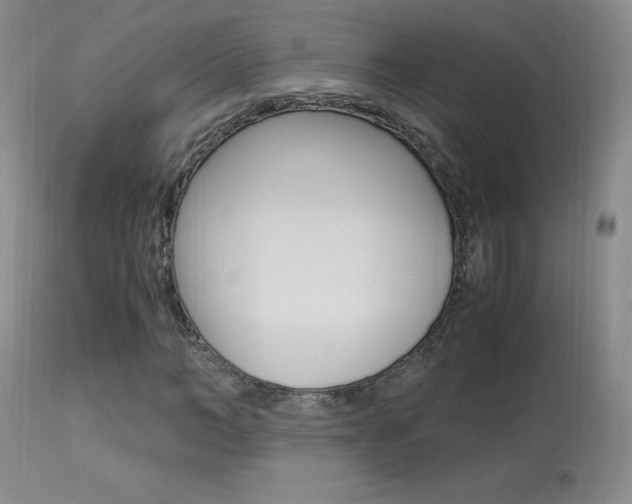 X0000113950966200909250959