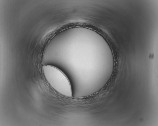 X0000113950967200909250959