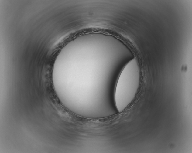 X0000113950968200909250959
