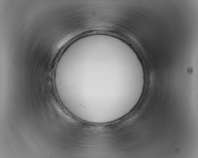 X0000113950970200909250959