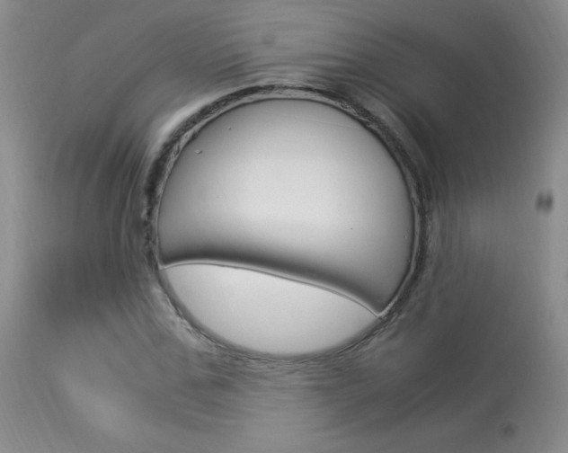 X0000113950971200909250959