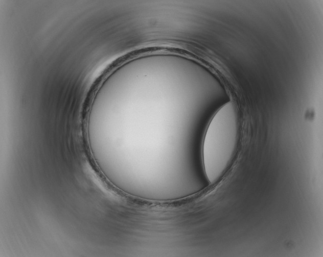 X0000113950972200909250959