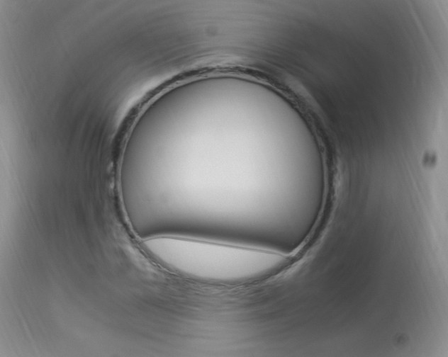 X0000113950973200909250959