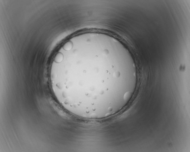 X0000113950974200909250959