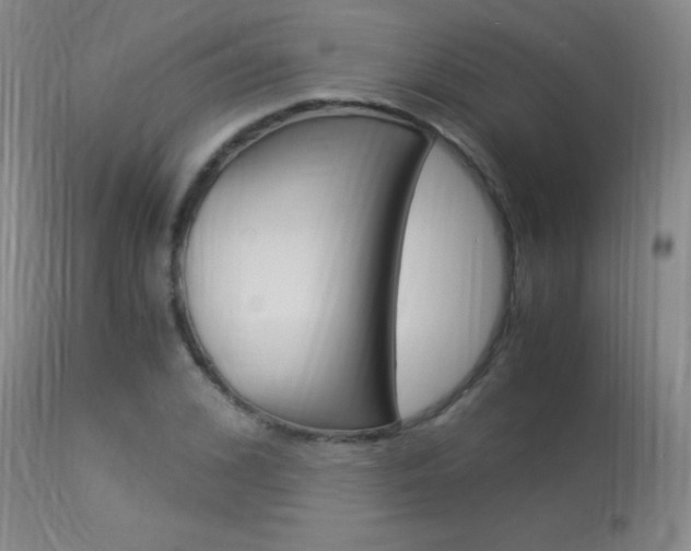 X0000113950976200909250959