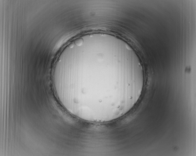 X0000113950978200909250959