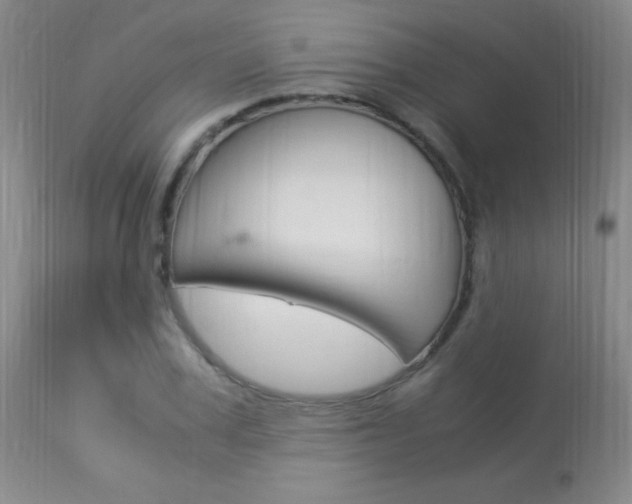 X0000113950979200909250959