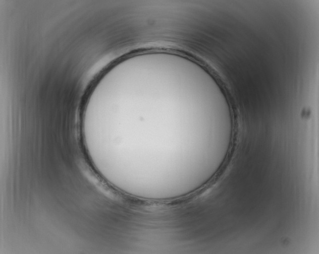 X0000113950982200909250959