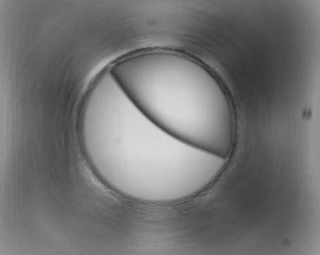 X0000113950983200909250959