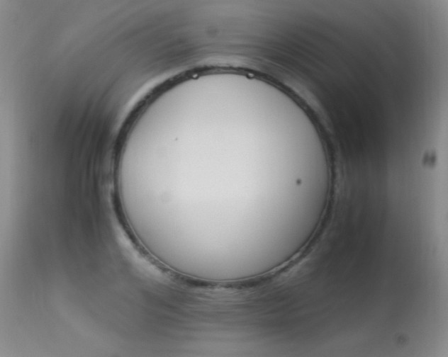 X0000113950984200909250959