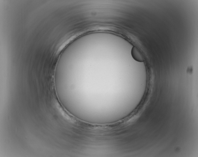 X0000113950985200909250959