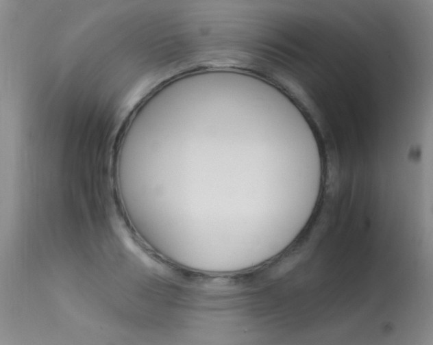 X0000113950986200909250959