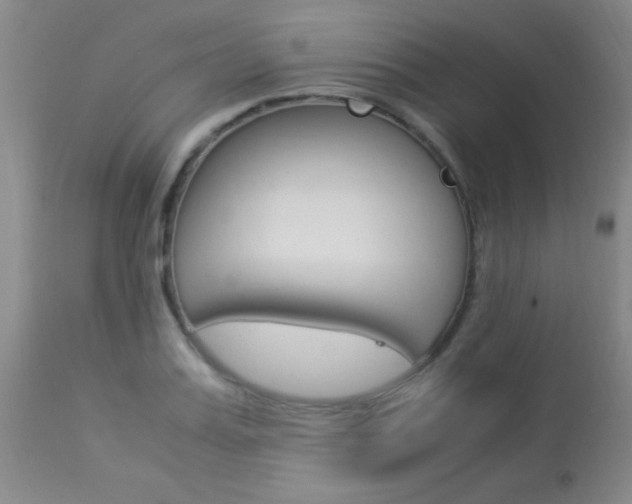 X0000113950987200909250959