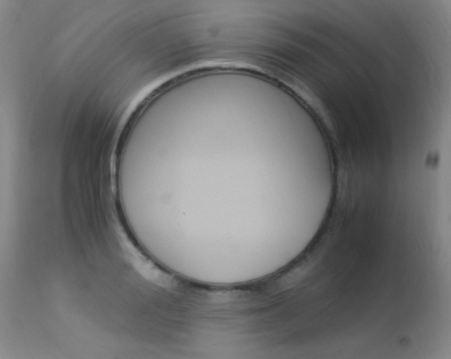 X0000113950988200909250959