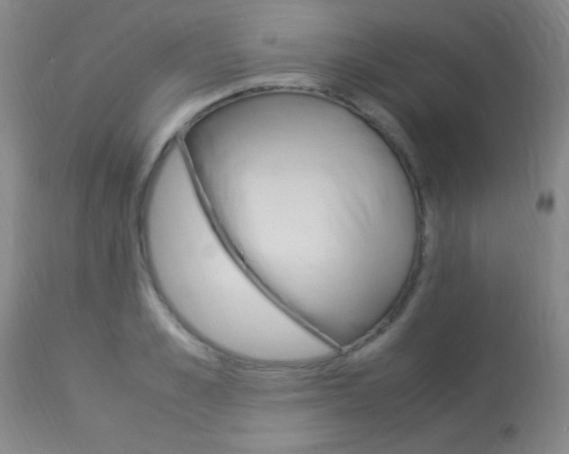X0000113950989200909250959