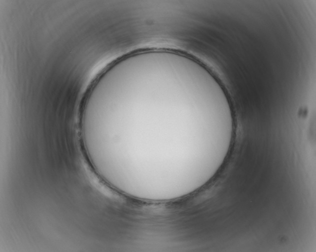 X0000113950990200909250959