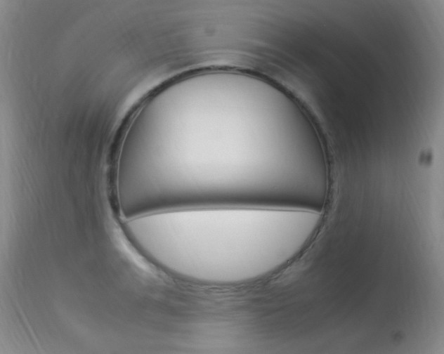 X0000113950991200909250959